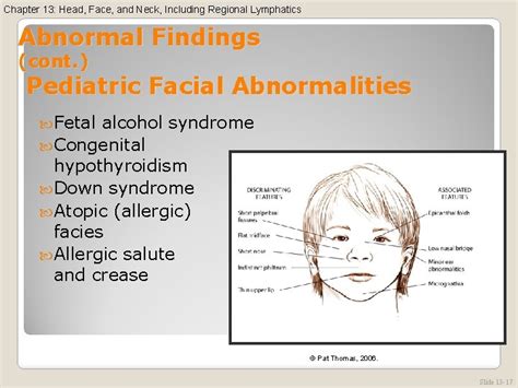 Head Face And Neck Including Regional Lymphatics Chapter