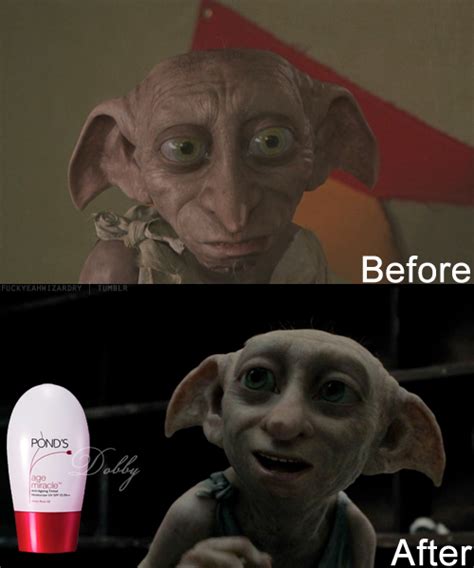 Funny Dobby Quotes. QuotesGram