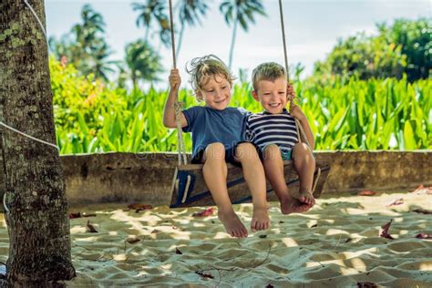 Zwei Kleine Blonde Jungen Spaß Auf Dem Schwingen Auf Der Tropischen Sandigen Küste Haben