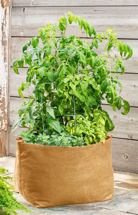 Creative Container Garden Ideas