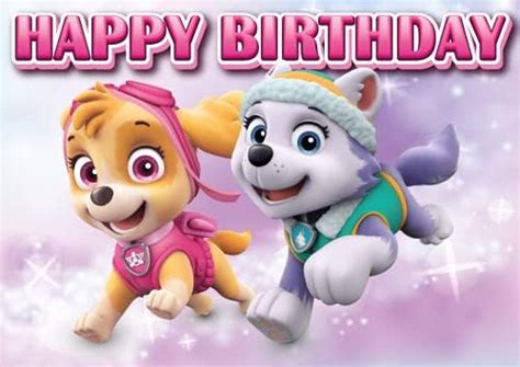 Amazon PAW PATROL SKYE Nr2 Edible Cupcake Toppers 1 8