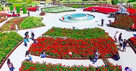 Korea Destinations: Ulsan Rose Festival