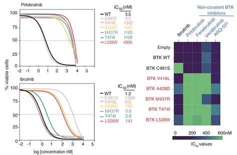 Brutons Tyrosine Kinase — Taylor Lab