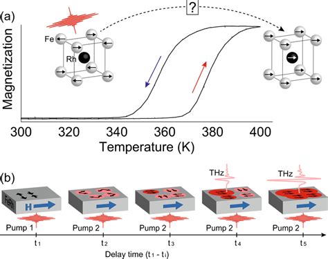 First Order Phase Transition And Double Pump Thz Emission In Ferh A The