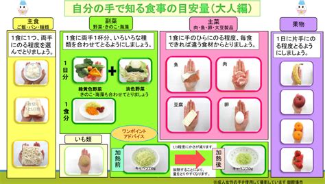 子どもの食事の栄養について④ バランスが大事5群6群 名古屋市北区の歯医者｜おくい歯科へ