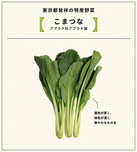 茨城県が生産日本一！ 別名「冬菜」「雪菜」「うぐいす菜」などと呼ばれる野菜は？ 農林水産省が出したクイズが結構難しい（22 ページ） ねとらぼ