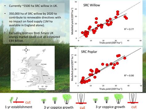 ForestGrowth SRC A Process Based Model Of Short Rotation Coppice SRC