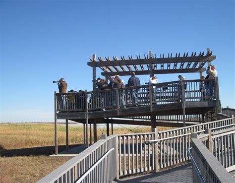 Public Domain Picture Viewing Deck At Quivira National Wildlife Refuge Id 13964740215936