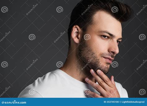 Brunette Man Touching Beard And Looking Stock Photo Image Of Isolated Casual