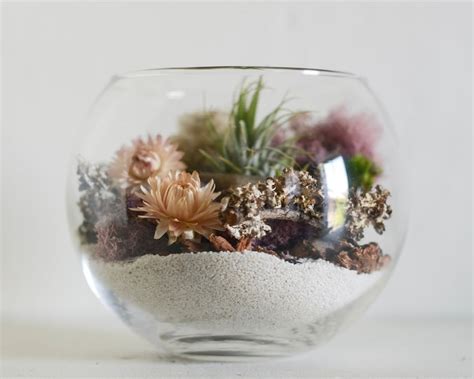 DIY Terrarium Kit DIY Terrarium Team Bulding Kit Air Plant - Etsy