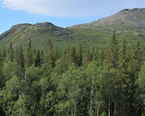 THE 15 BEST Things to Do in Khibiny Mountains (2025)