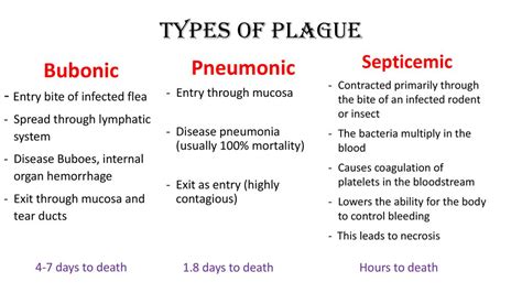 The Black Death C Ppt Download