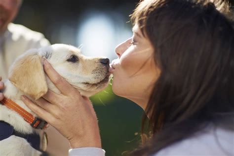 ¿besas A Tu Perro En La Boca No Es La Mejor Idea Patas En Casa