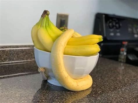 Thats Not A Banana Raww