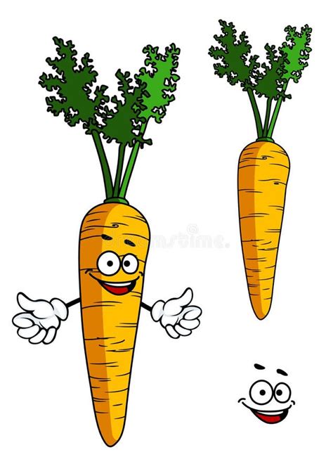 Happy Cartoon Carrot Character Stock Vector Image 46358666