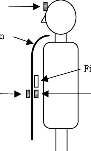 Positions Of The Thermoluminescent Dosimeters And A Film Badge For Download Scientific Diagram