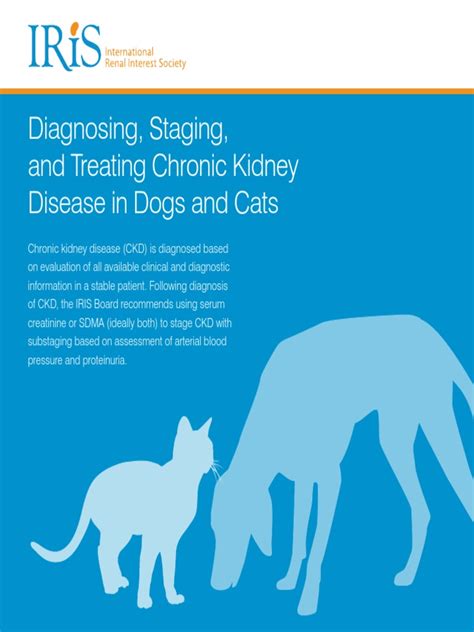 IRIS Pocket Guide To CKD 2023 | PDF | Chronic Kidney Disease | Creatinine