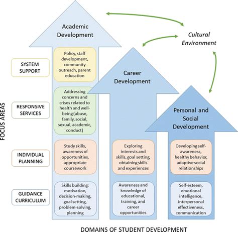 Developmental Domains And Skills Emphasized Within The Cgcp Framework