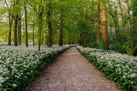 Daslookroute Leiden Cronesteyn Polderpark Wandelen