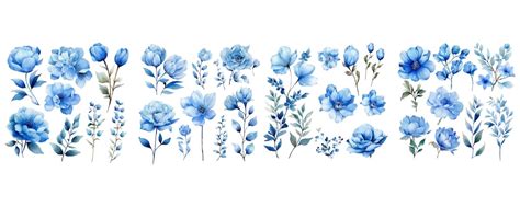 Premium Vector Watercolor Blue Floral Clipart