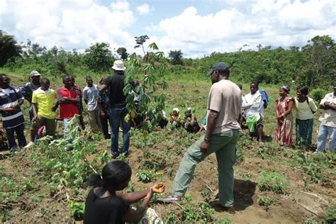 The Roles Of Agricultural Extension In Nigeria