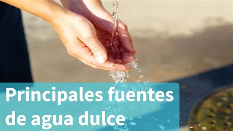 Principales Fuentes De Agua Dulce Conoce Cu Les Son Youtube