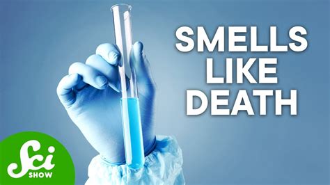 The 5 Most Dangerous Chemicals On Earth A Terrifying Look At Explosive And Lethal Substances