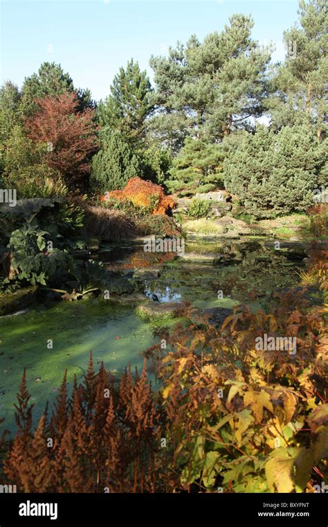 Bridgemere Nursery And Garden World Autumnal View Of Bridgemeres Show