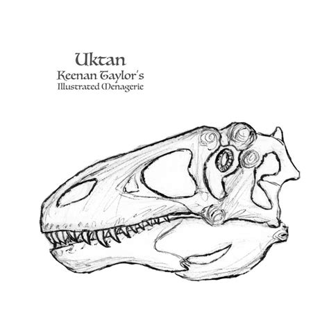 Uktan Skull By Illustratedmenagerie On Deviantart