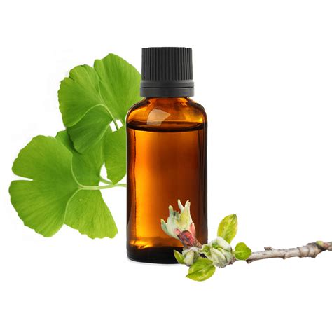 Mac Rat De Bourgeons De Ginkgo Biloba Bienfaits Et Utilisations En