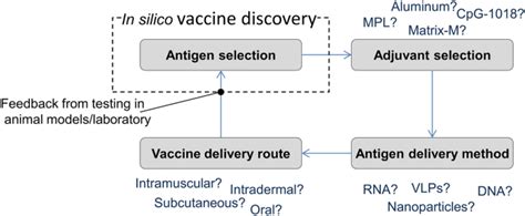 A State Of The Art Methodology For High Throughput In Silico Vaccine