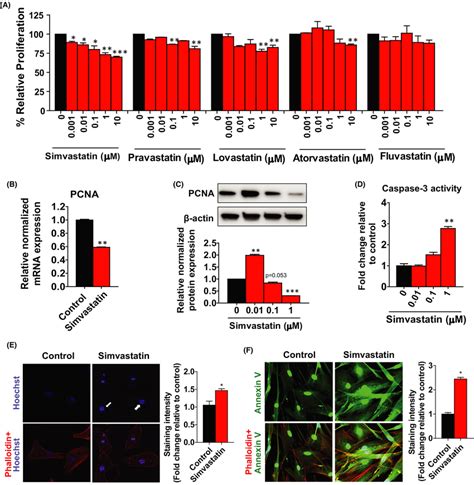 Antiproliferative And Apoptotic Effects Of Simvastatin A Human Uterine