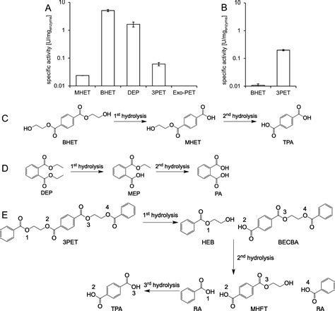 Structural Insights Into Tere Phthalate Ester Hydrolysis By A