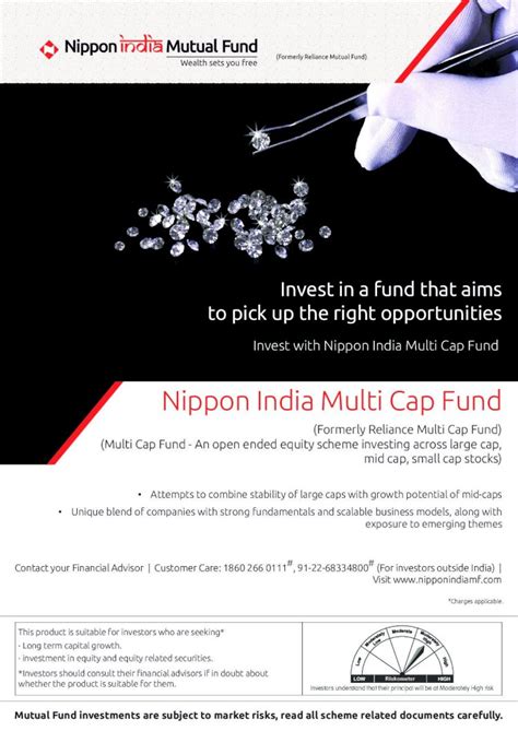 Pdf Nippon India Multi Cap Fund3 Scheme Performance Summary Nippon