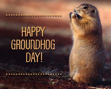 Groundhog Day | Blue Mountain Ecards