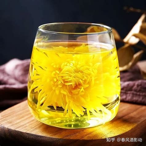 菊花茶不能直接泡，否则与喝“毒水”无异，正确喝法是这样的 知乎