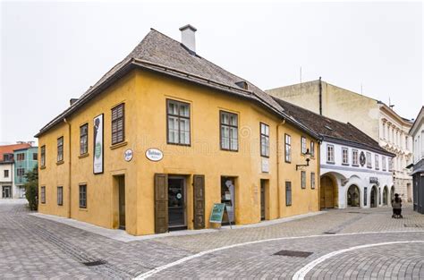 Beethoven House Museum In The Center Of Baden Bei Wien Vienna Woods