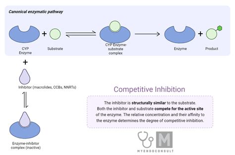 Medications Inhibitors Cyp3a4 Enzyme My Endo Consult