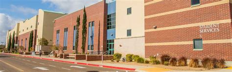 pecan campus mcallen south texas college