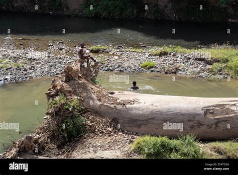 Young Haitian Boys Swim In The Massacre River The Natural Border