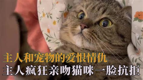 主人和宠物间的爱恨情仇，主人疯狂亲吻猫咪，衣服封印住了狗狗腾讯视频