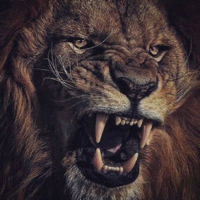 Haleyseven7™ 🦁 on Twitter: "@centolain Waking up with you is what I ...