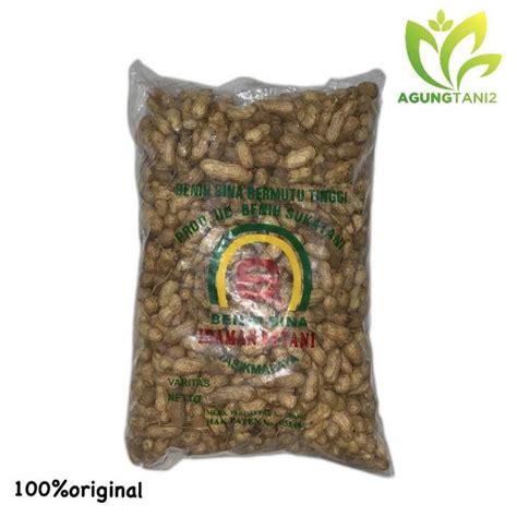 Benih Suuk Kacang Tanah Kg Lazada Indonesia