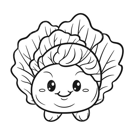 Cute Cabbage Coloring Pages Outline Sketch Drawing Vector