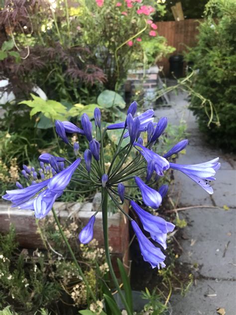 Heat, harvests and the weekly round-up