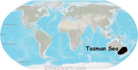 Tasman Sea Meddic
