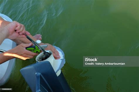 Replacing An Old Outboard Propeller On An Outboard Motor Stock Photo