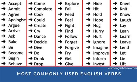 List Of Verbs 1000 Common Verbs List With Examples 43 OFF