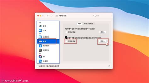 Mac小技巧 如何设置 Mac 打字音效 Macw下载站