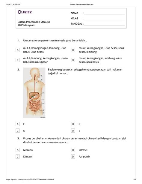 Latihan Soal Sistem Pencernaan Manusia Sistem Pencernaan Manusia